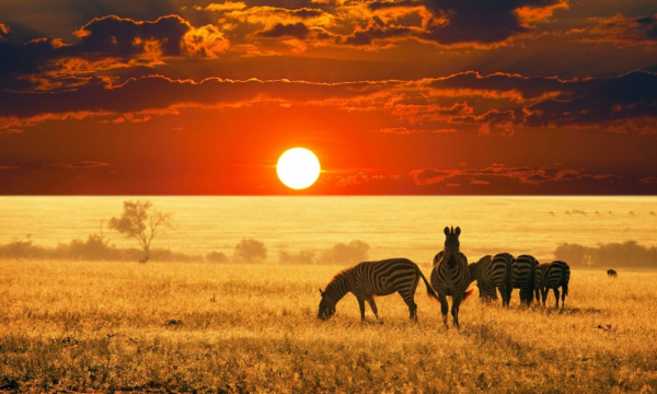 7 Day South Safari Tour Namibia