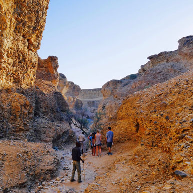 7 Day Taste Of Namibia