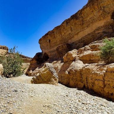 7 Day Taste Of Namibia
