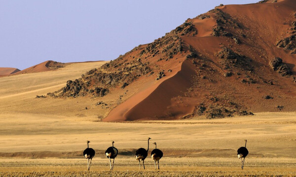 7 Day Taste of Namibia