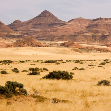 10 Day The Classic Namibia Safari