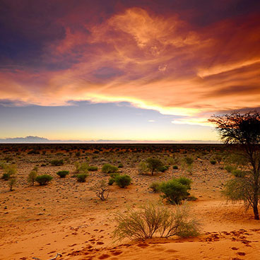 7 Days Botswana Family Safari