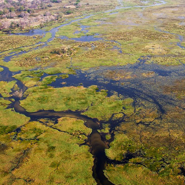 7 Days Botswana Family Safari