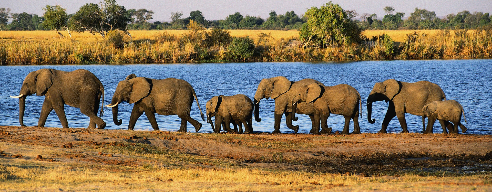 7 Day Botswana Wildlife Safari