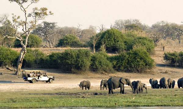 7 Days Botswana Wildlife Safari