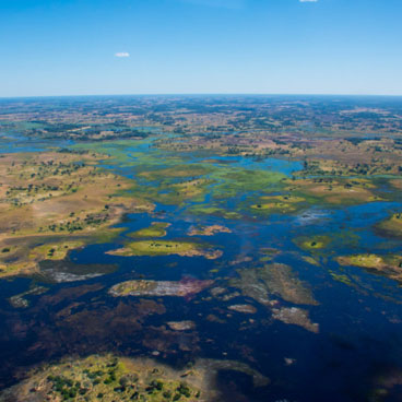 7 Day Botswana Wildlife Safari