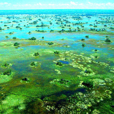 7 Day Botswana Wildlife Safari