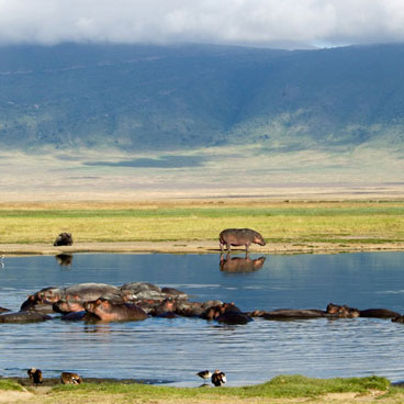 7 Days Camping Serengeti Explorer