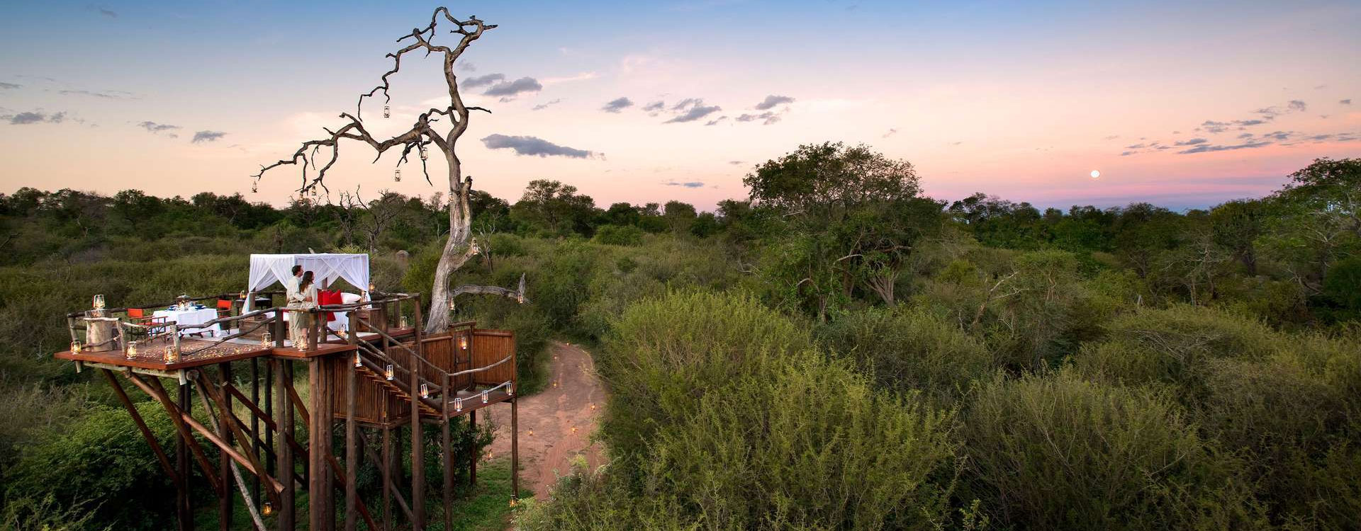7 Days Cape and Sabi Sands