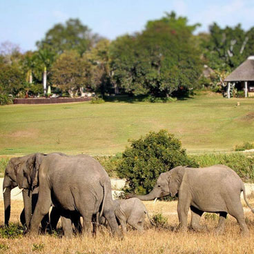 7 Days Cape and Sabi Sands