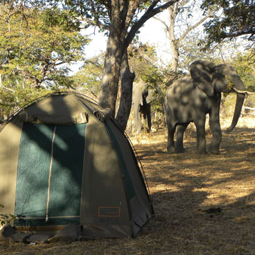 7 Day Flexible Camping