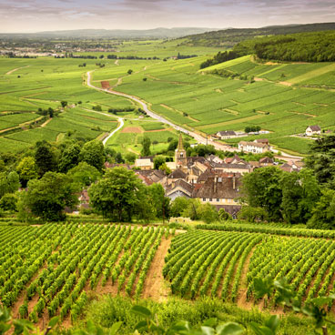7 Days Johannesburg, Pilanesburg, Cape Town- Luxury