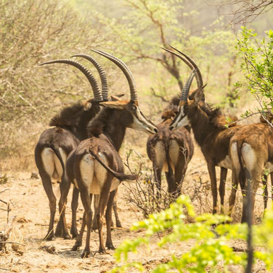 7 Days Livingstone, Caprivi, Windhoek Tour