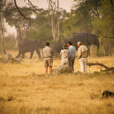Classic Makgadikgadi, Okavango Delta & Linyanti Fly-in Safari Tour