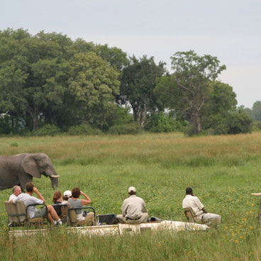 Classic Makgadikgadi, Okavango Delta & Linyanti Fly-in Safari Tour