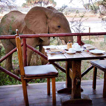 Classic Makgadikgadi, Okavango Delta & Linyanti Fly-in Safari Tour