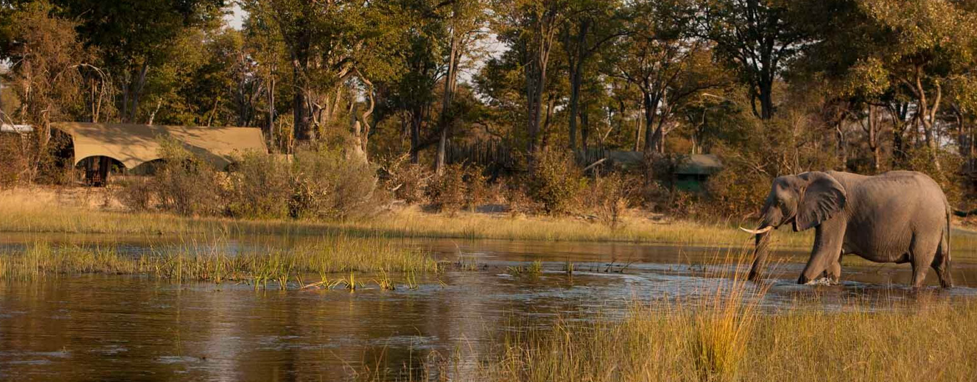 7 Day Moremi Classic - Miracle Rivers Safari