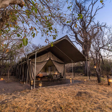 7 Day Moremi Classic - Miracle Rivers Safari