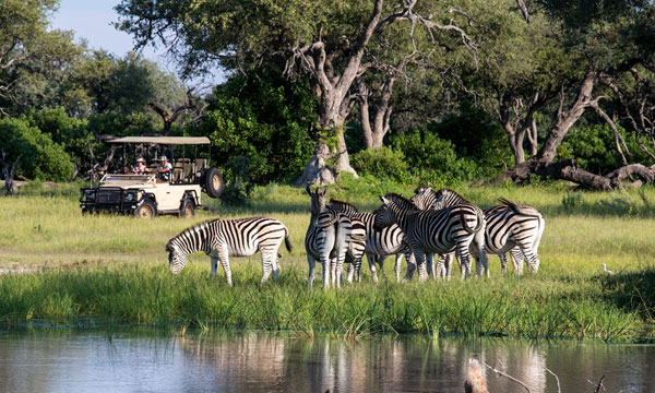 7 Day Moremi Classic - Miracle Rivers Safari