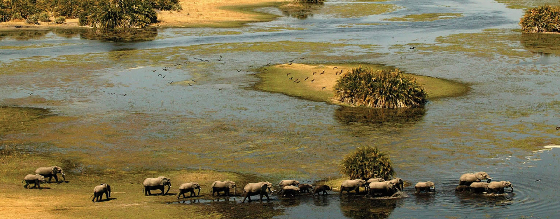 7 Day Okavango Gateway