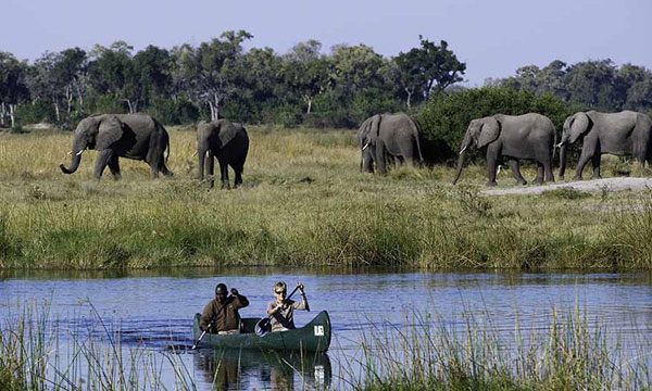 7 Days Okavango Gateway