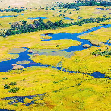 7 Day Predators of Okavango and Linyanti