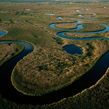 7 Day Predators of Okavango and Linyanti