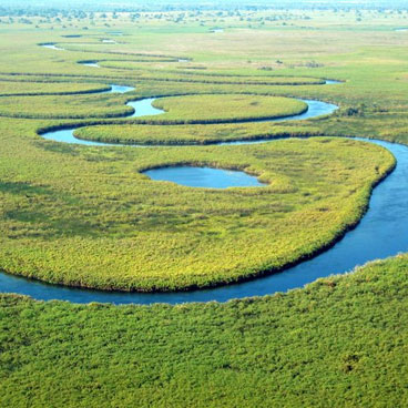 7 Day Predators of Okavango and Linyanti