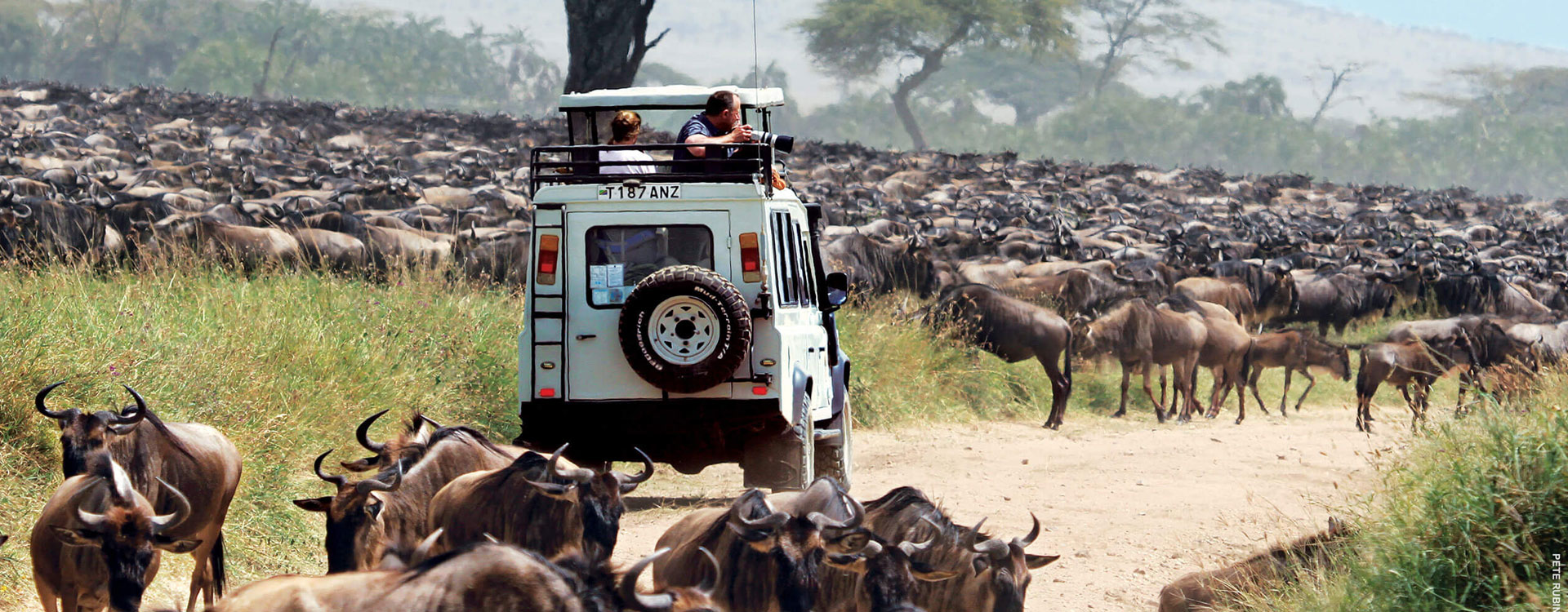 7 Days Private Kruger Tour