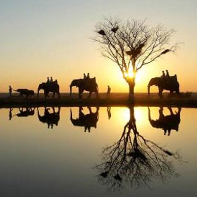 7 Days Private Kruger Tour