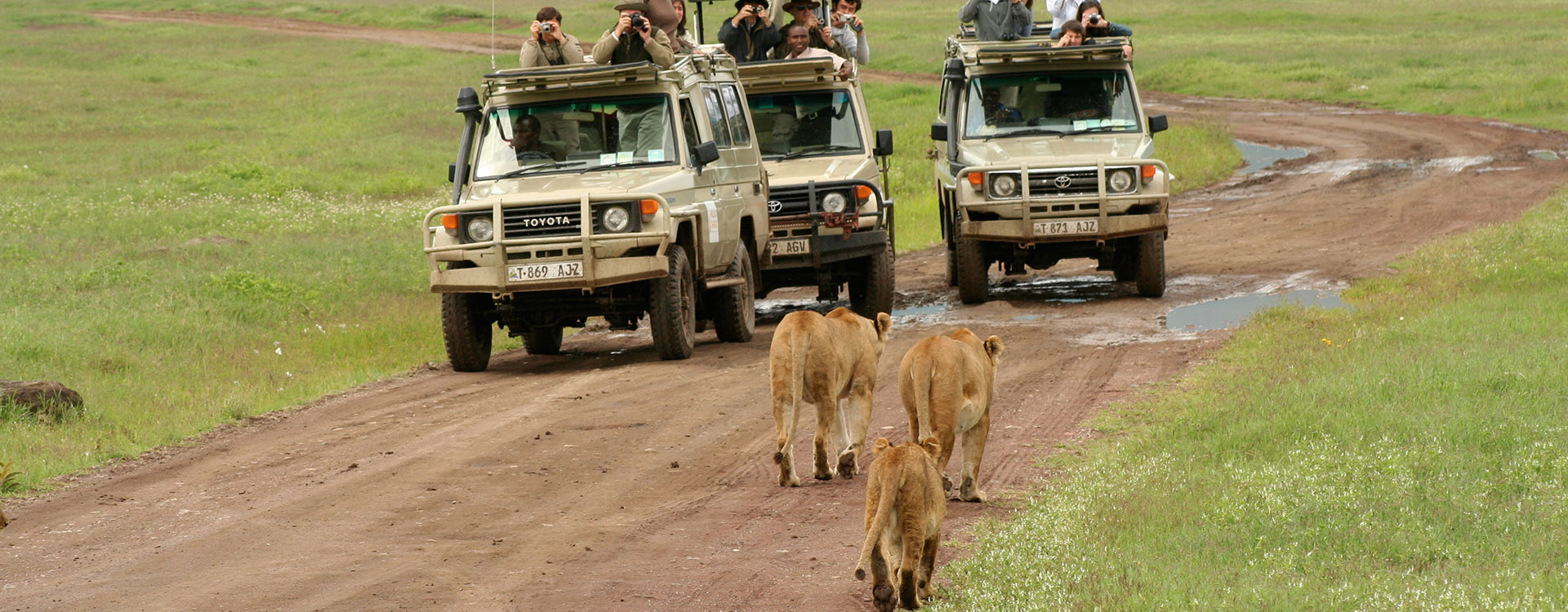 7 Days Road Safari Exploration