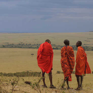 7 Days Road Safari Exploration