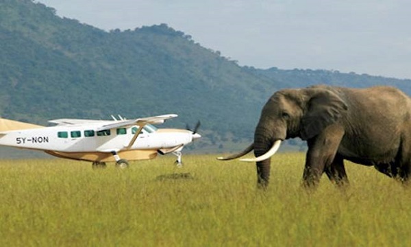 7 Day Road Safari Exploration
