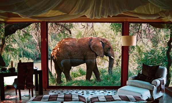 7 Days Ultimate Luxury Botswana Wildlife Safari