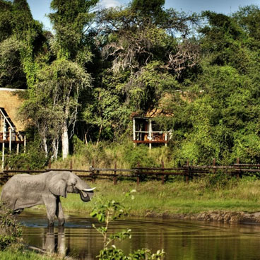 7 Day Ultimate Luxury Botswana Wildlife Safari