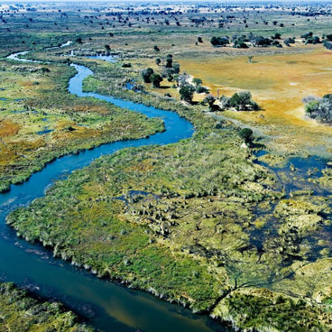 Classic Chobe & Okavango Delta Honeymoon Safari Tour