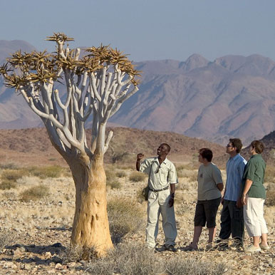 8 Day Bushman And Delta 4x4 Adventure Namibia To Zambia
