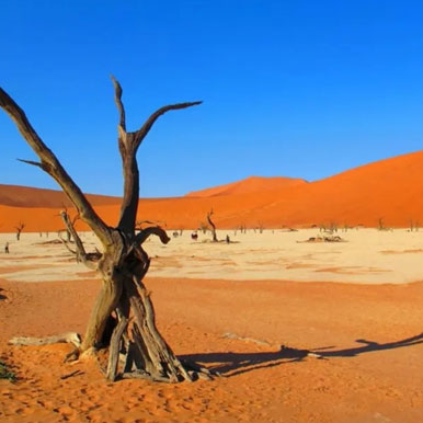 8 Day Bushman And Delta 4x4 Adventure Namibia To Zambia