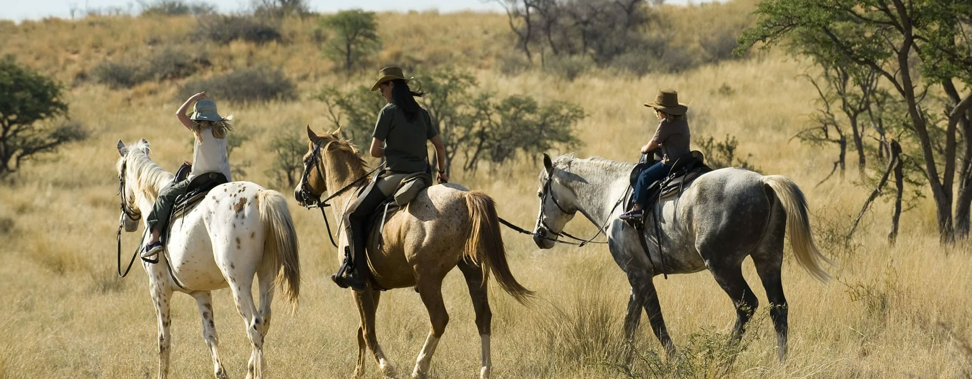 8 Day Horizon Horseback