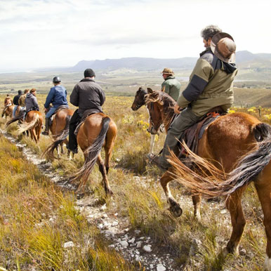 8 Day Horizon Horseback
