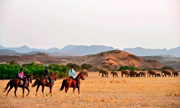 8 Day Horizon Horseback
