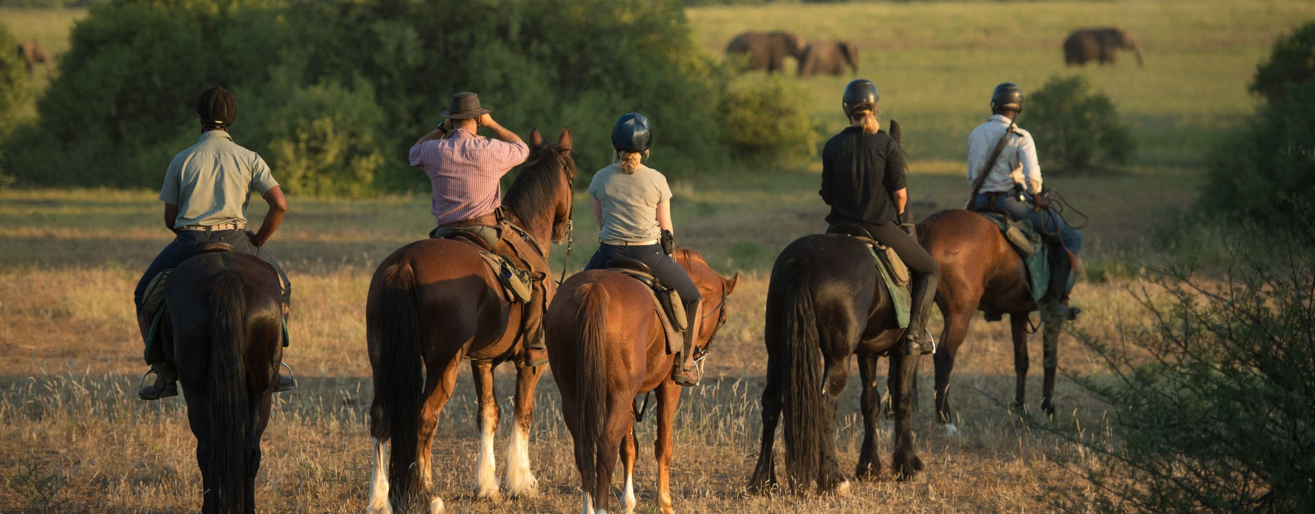 8 Day Limpompo Valley Horse Safaris Tuli