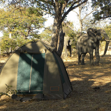 8 Day Limpompo Valley Horse Safaris Tuli