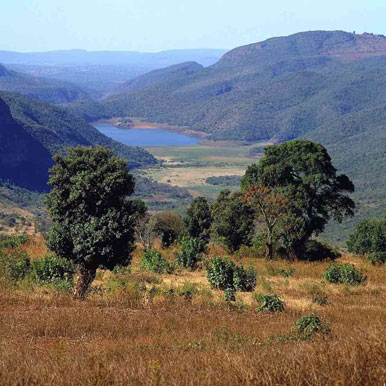 8 Day Limpompo Valley Horse Safaris Tuli