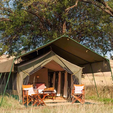 8 Day Limpompo Valley Horse Safaris Tuli