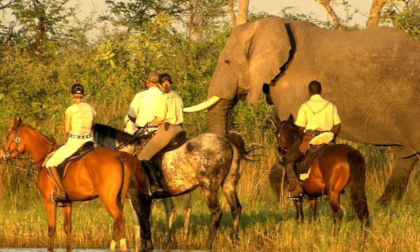 8 Day Limpompo Valley Horse Safaris Tuli