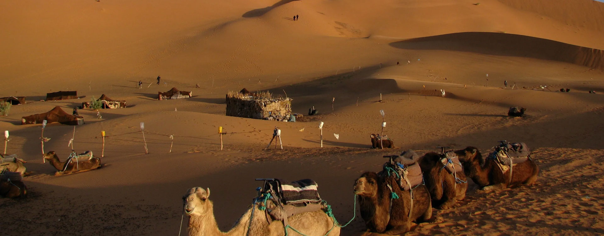 8 Day Namibia Desert, Dune Classic