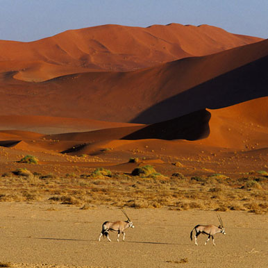 15 Day Namibia Camping Expedition