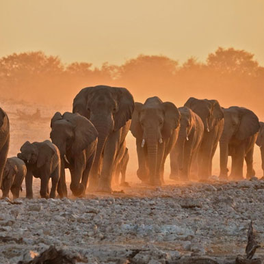8 Day Northern Namibia Adventure Safari