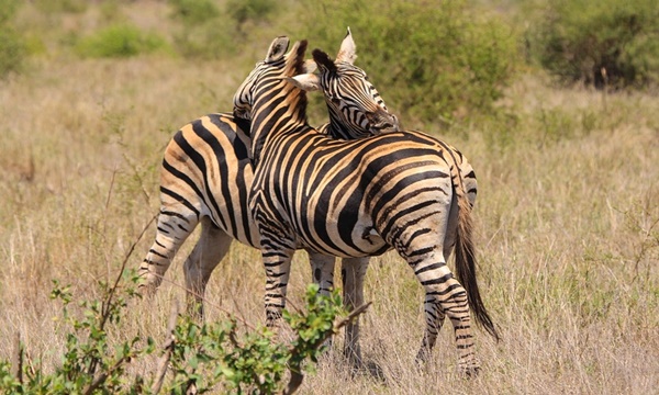 8 Day Northen Namibia Adventure Safari